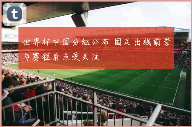 世界杯中国分组公布 国足出线前景与赛程看点受关注
