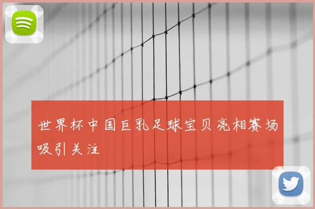 世界杯中国巨乳足球宝贝亮相赛场吸引关注