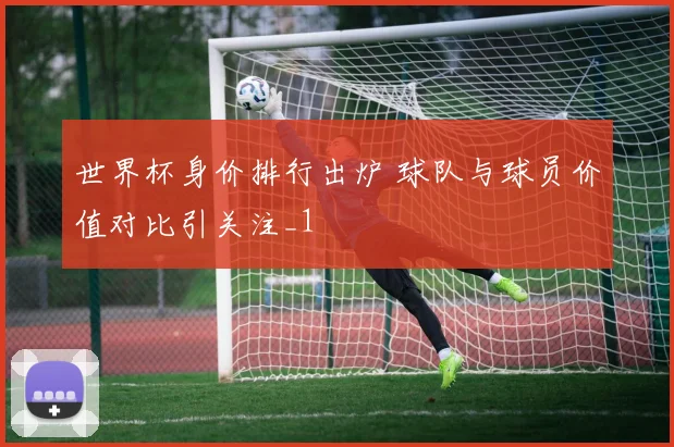 世界杯身价排行出炉 球队与球员价值对比引关注_1