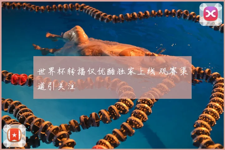 世界杯转播仅优酷独家上线 观赛渠道引关注