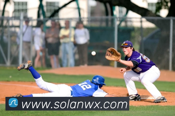 世界杯官方网络平台平台生态图